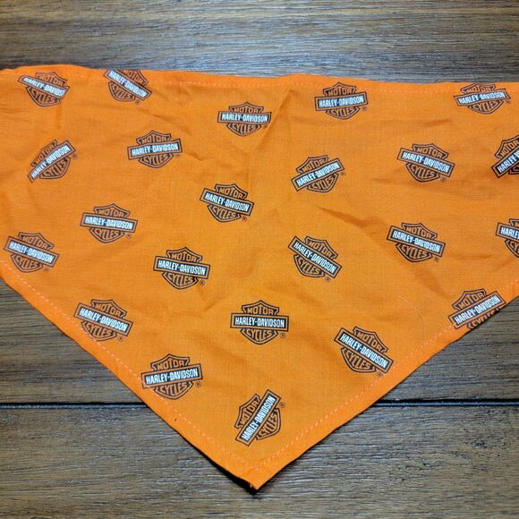 BAB Build A Bear "Boy" Clothes: Hou Tex Helmet, Football Jersey & Harley D Scarf - Picture 8 of 12